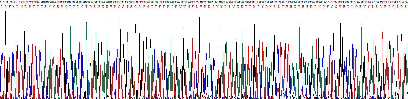 Recombinant Endoplasmic Reticulum Lipid Raft Associated Protein 2 (ERLIN2)