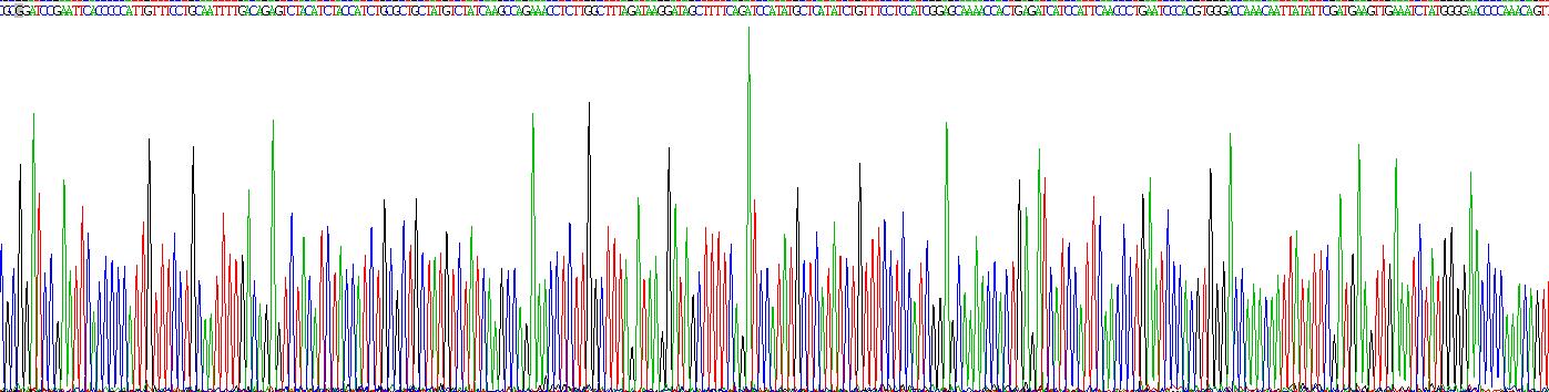 Recombinant Myoferlin (MYOF)