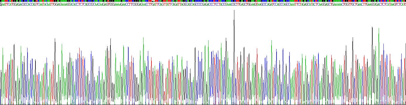 Recombinant FK506 Binding Protein Like Protein (FKBPL)