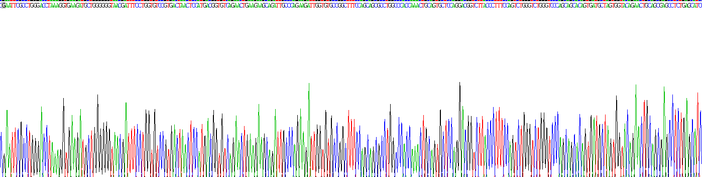 Recombinant Ubiquitin Cross Reactive Protein (UCRP)