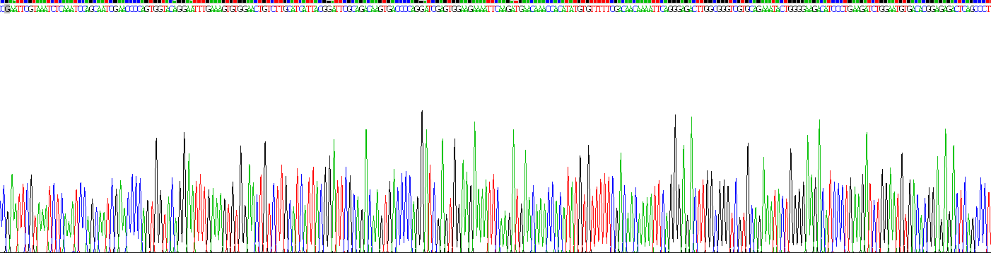 Recombinant Junctional Adhesion Molecule 3 (JAM3)