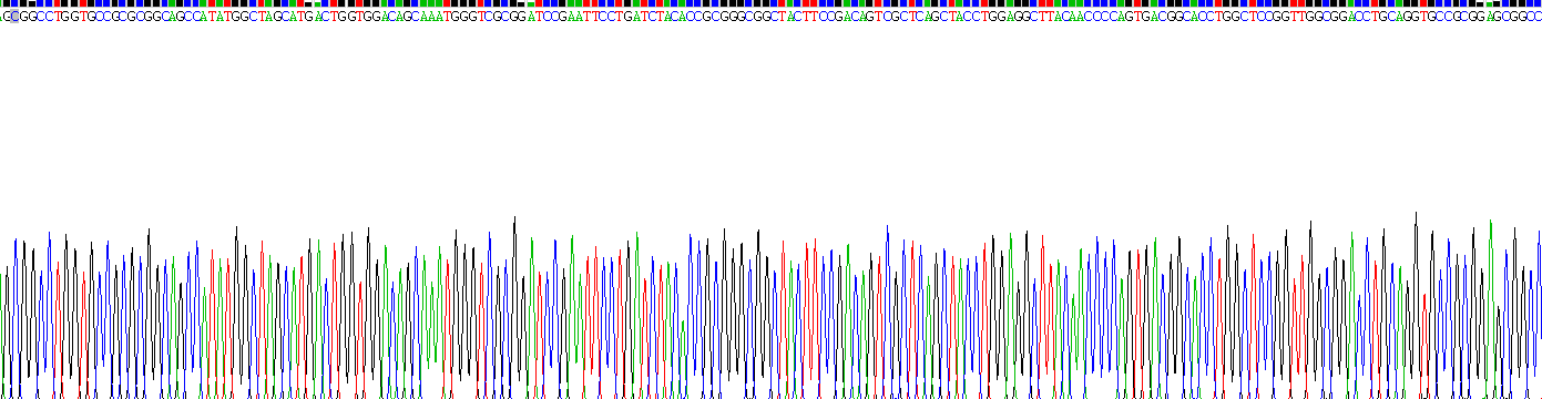 Recombinant Kelch Like ECH Associated Protein 1 (KEAP1)