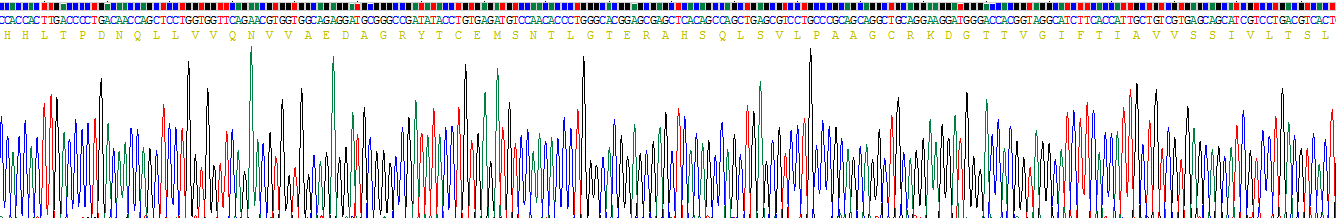 Recombinant Leucine Rich Repeats And Immunoglobulin Like Domains Protein 1 (LRIG1)