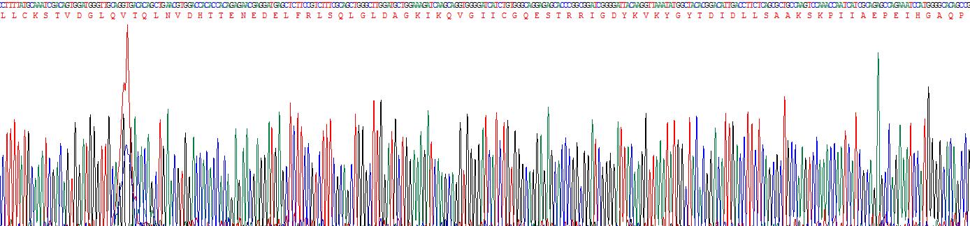 Recombinant Mitogen Activated Protein Kinase Kinase Kinase 7 Interacting Protein 1 (MAP3K7IP1)