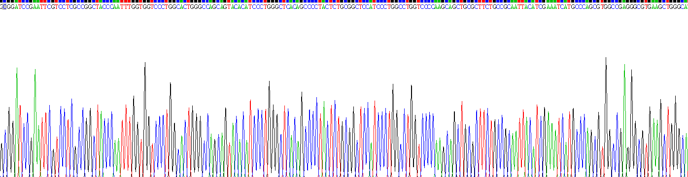 Recombinant Wingless Type MMTV Integration Site Family, Member 3 (WNT3)