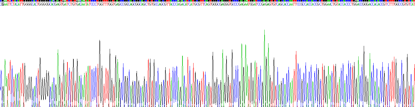 Recombinant Wingless Type MMTV Integration Site Family, Member 2B (WNT2B)