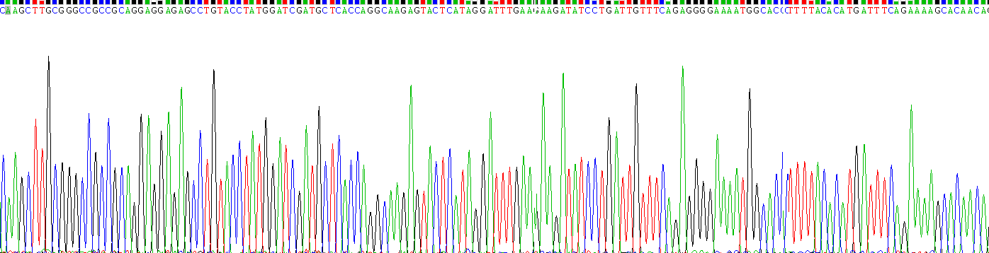 Recombinant WNT Inhibitory Factor 1 (WIF1)