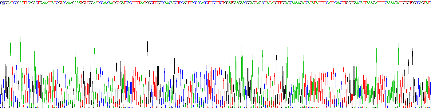 Recombinant Semaphorin 3A (SEMA3A)