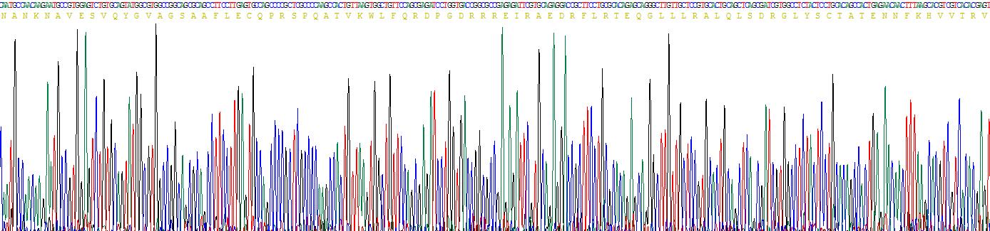 Recombinant Semaphorin 3F (SEMA3F)