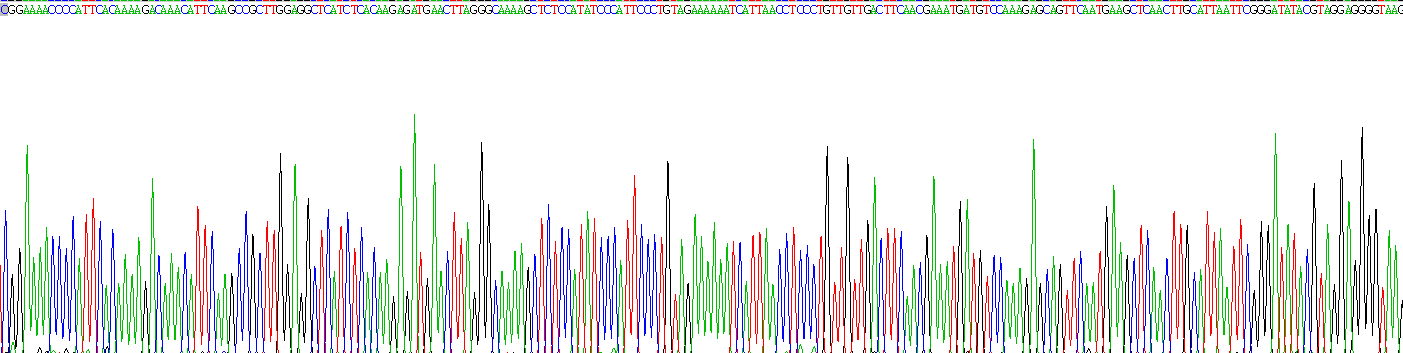 Recombinant Nuclear Factor, Erythroid Derived 2 Like Protein 2 (NFE2L2)