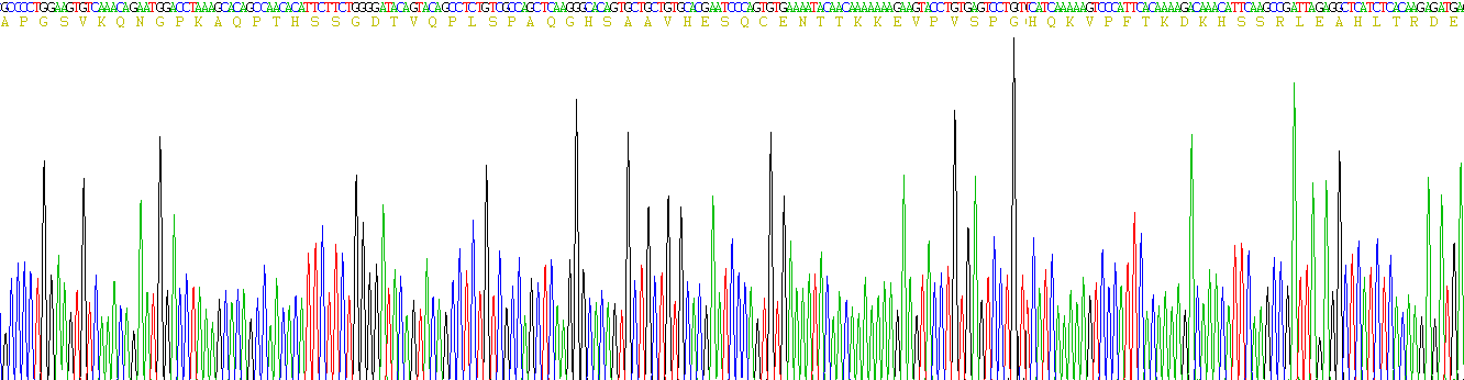 Recombinant Nuclear Factor, Erythroid Derived 2 Like Protein 2 (NFE2L2)