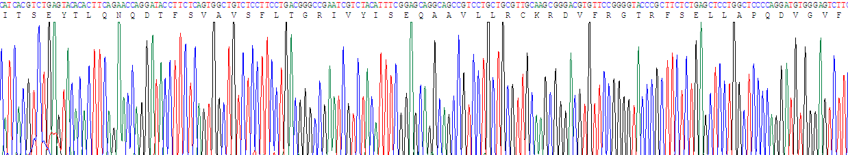 Recombinant Period Circadian Protein 1 (PER1)