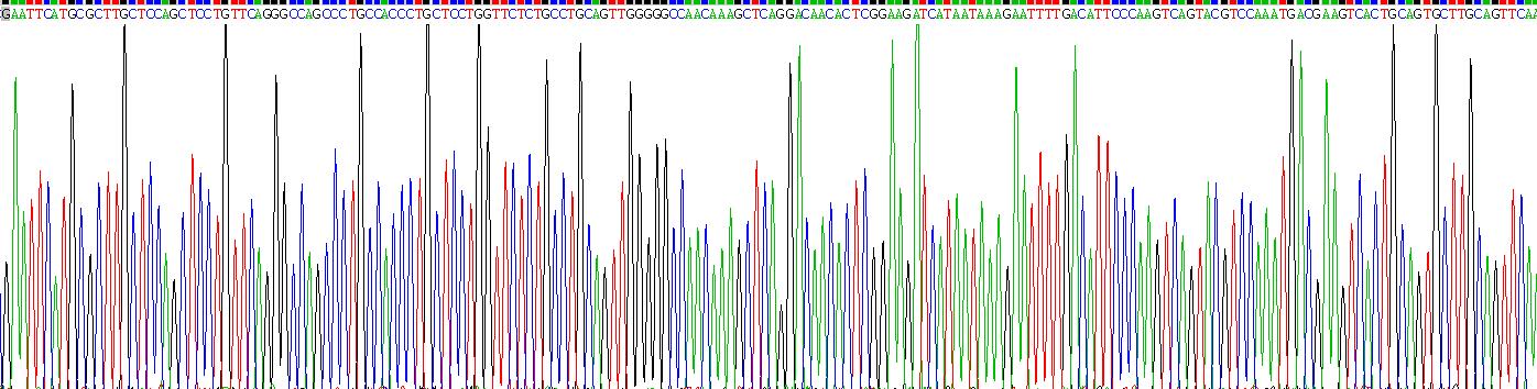 Recombinant Prolactin Induced Protein (PIP)