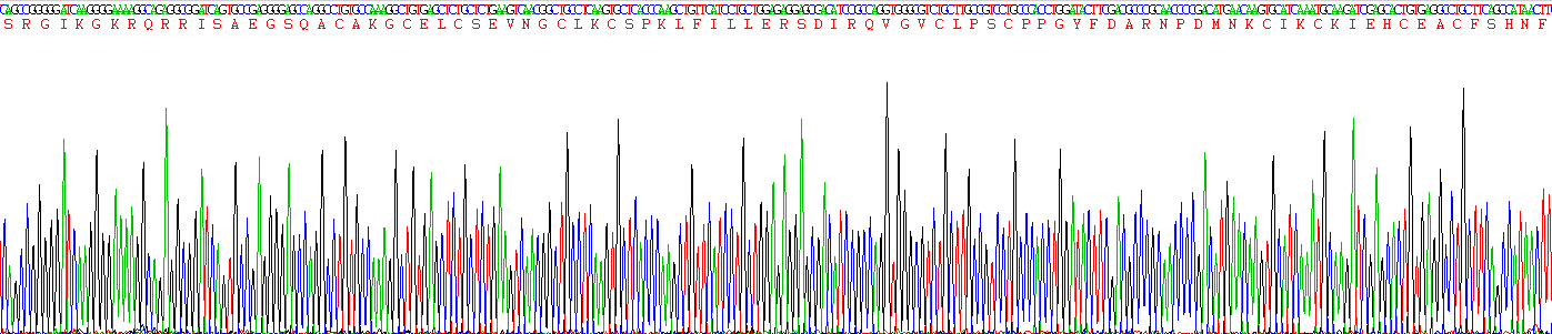 Recombinant R-Spondin 1 (RSPO1)