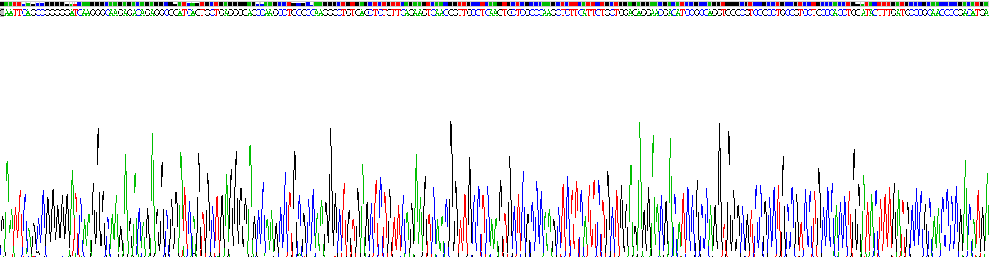 Recombinant R-Spondin 1 (RSPO1)