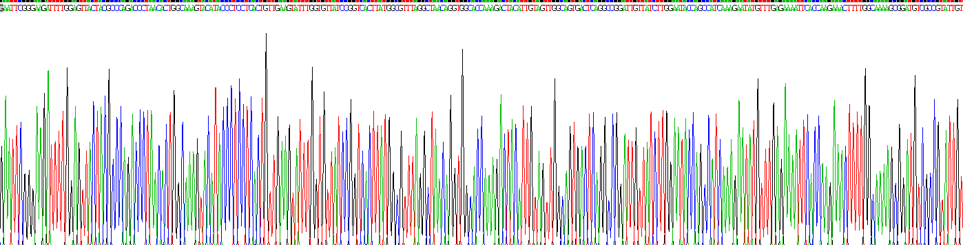 Recombinant Splicing Factor 3B Subunit 3 (SF3B3)