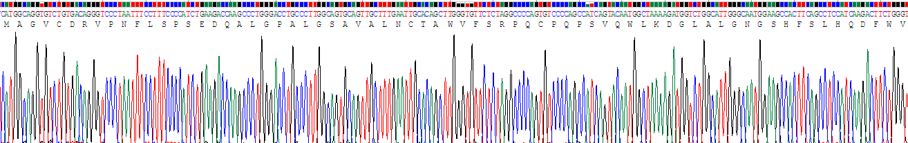 Recombinant Single Ig IL1 Related Receptor (SIGIRR)