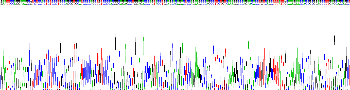 Recombinant Salt Inducible Kinase 2 (SIK2)