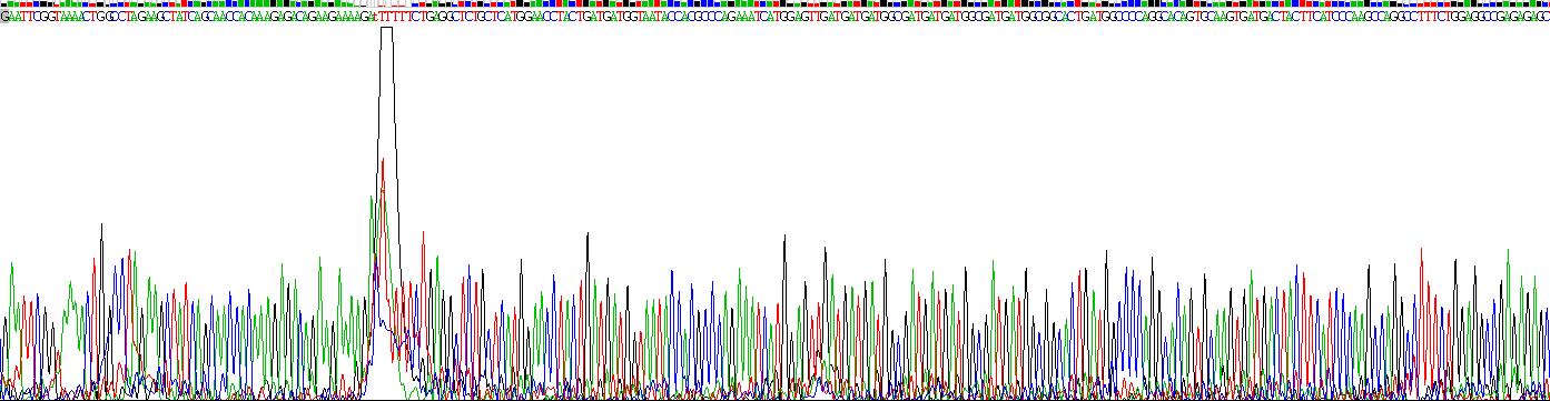 Recombinant SPARC Like Protein 1 (SPARCL1)