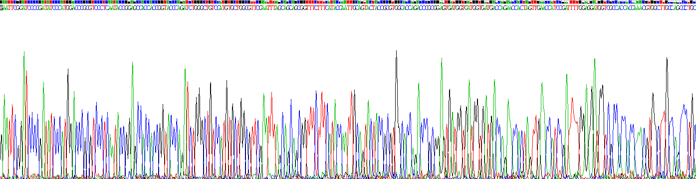 Recombinant Steroid 5 Alpha Reductase 2 (SRD5a2)