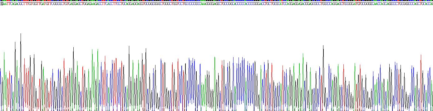 Recombinant T-Cell, Immune Regulator 1 (TCIRG1)