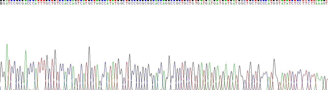 Recombinant TEA Domain Family, Member 1 (TEAD1)