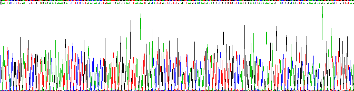 Recombinant Tomoregulin (TR)