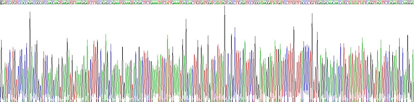 Recombinant Twinfilin 1 (TWF1)