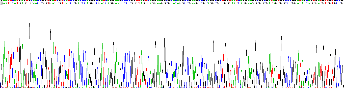 Recombinant Cancer/Testis Antigen Family 47, Member A1 (CT47A1)