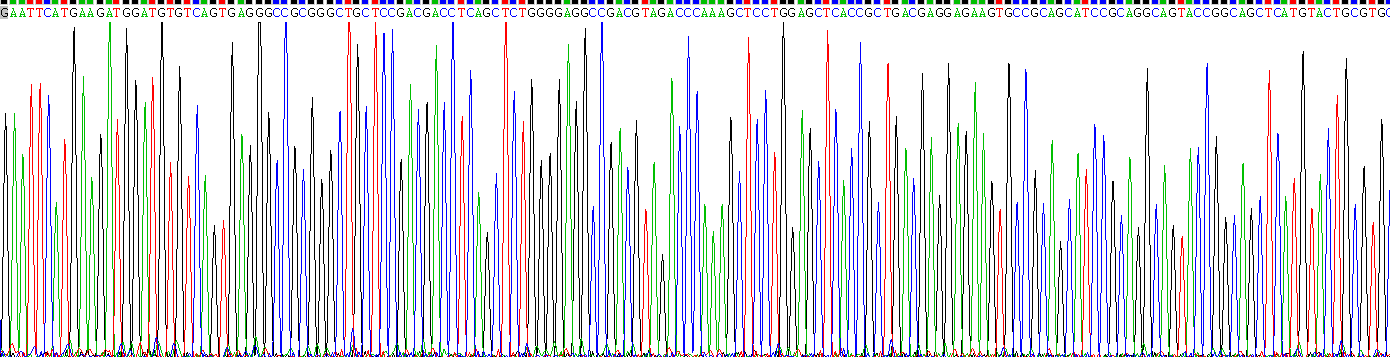 Recombinant EP300 Interacting Inhibitor Of Differentiation 3 (EID3)