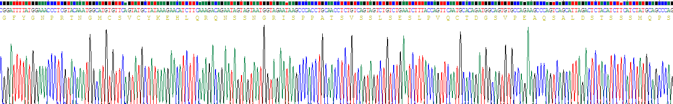 Recombinant Zinc Finger, AN1-Type Domain Protein 6 (ZFAND6)