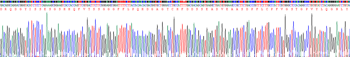 Recombinant Leucine Rich Repeats And Immunoglobulin Like Domains Protein 3 (LRIG3)