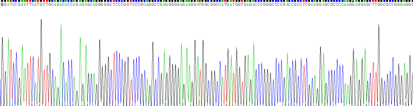 Recombinant Melanoma Antigen Family F1 (MAGEF1)