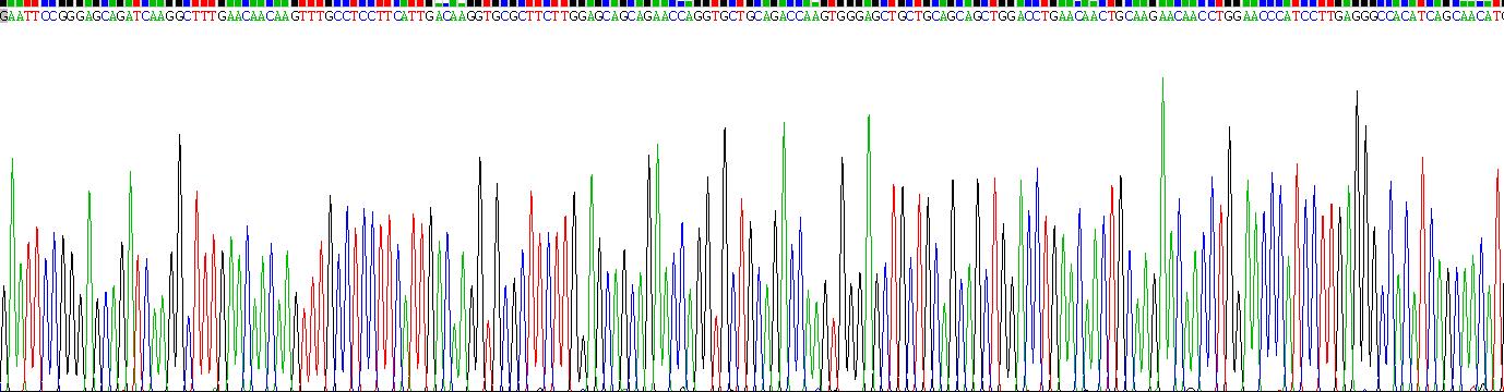 Recombinant Keratin 71 (KRT71)