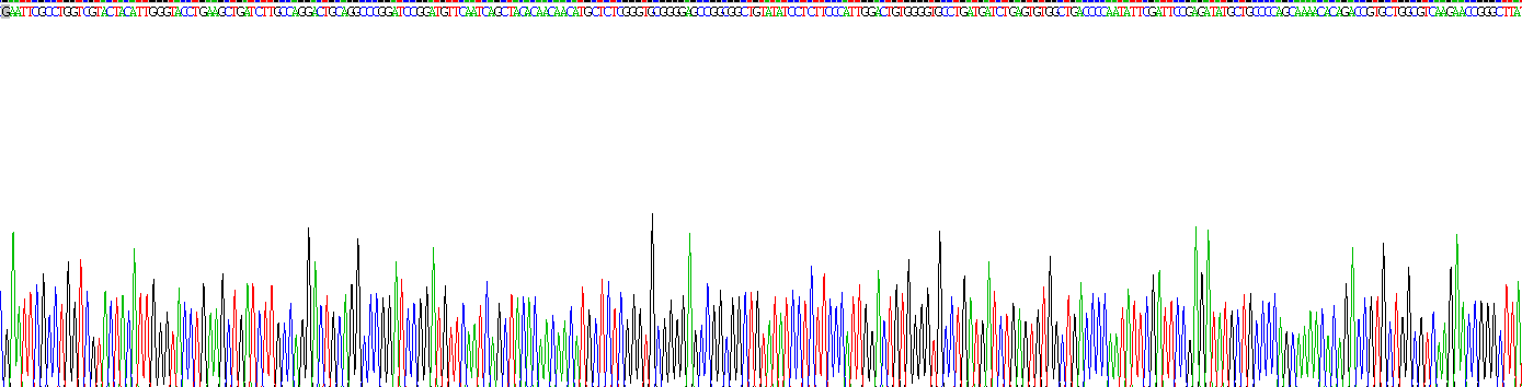 Recombinant Transmembrane Protein 173 (TMEM173)