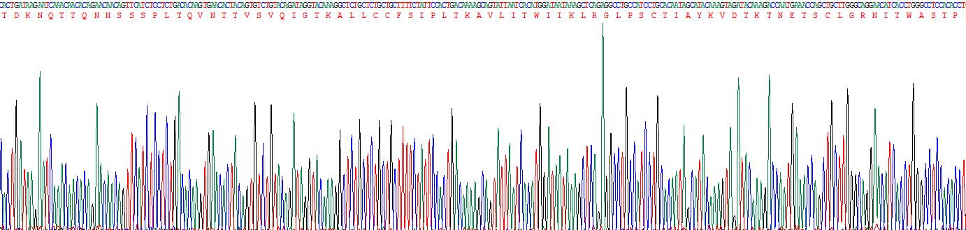 Recombinant CD200 Receptor 1 (CD200R1)