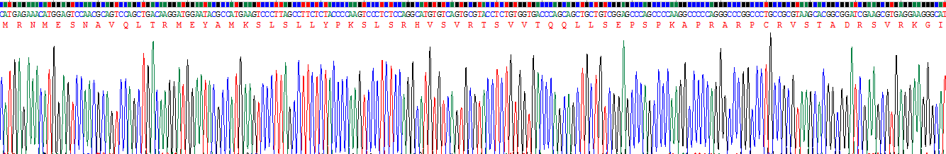 Recombinant Cell Death Inducing DFFA Like Effector C (CIDEC)