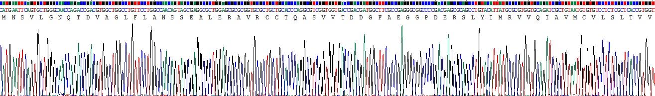 Recombinant Reprimo (RPRM)