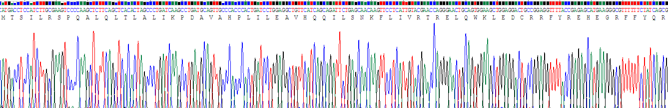 Recombinant Non Metastatic Cells 6, Protein Expressed In (NME6)