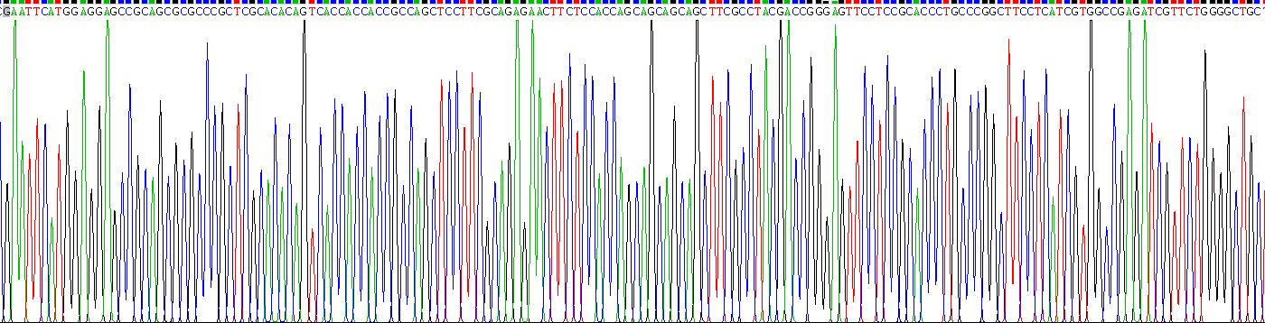 Recombinant Chemokine Like Factor Superfamily 8 (CKLFSF8)