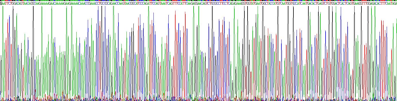 Recombinant Spermatogenesis Associated Protein, Serine Rich 2 (SPATS2)