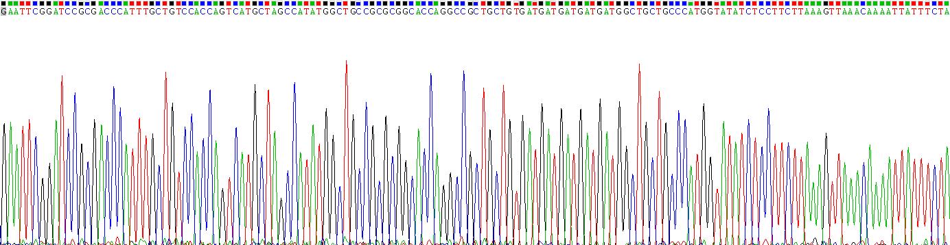 Recombinant Epigen (EPG)