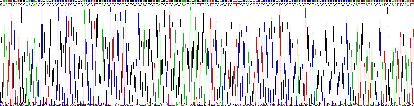 Recombinant Cell Division Cycle Protein 37 Like Protein 1 (CDC37L1)