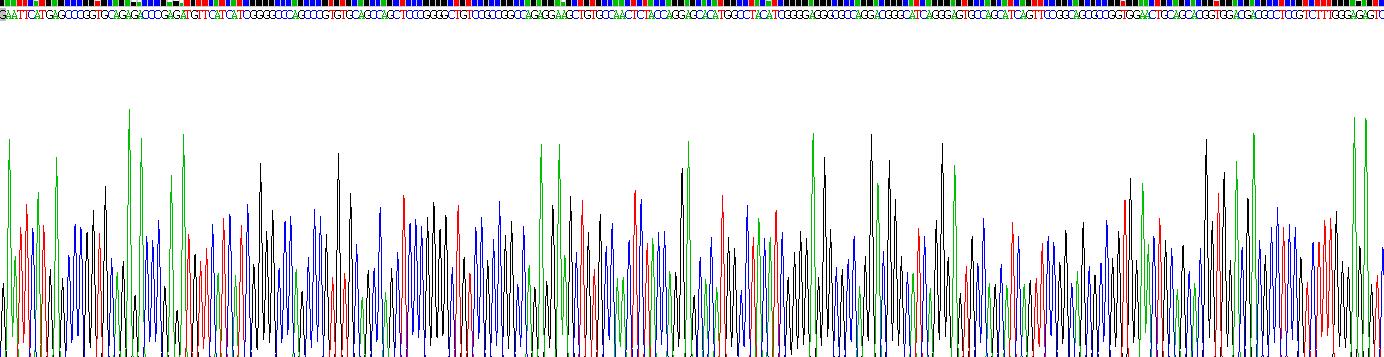 Recombinant Wingless Type MMTV Integration Site Family, Member 5B (WNT5B)