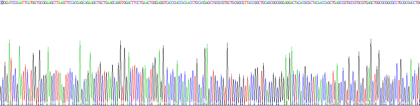 Recombinant Mitochondrial Ribosomal Protein S4 (MRPS4)