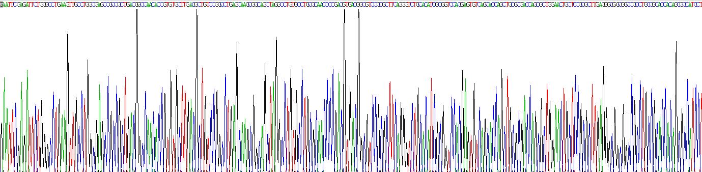 Recombinant Wingless Type MMTV Integration Site Family, Member 10B (WNT10B)