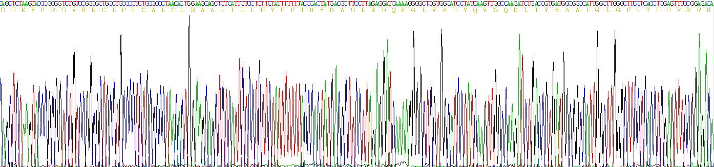 Recombinant Rh Blood Group, D Antigen (RHD)