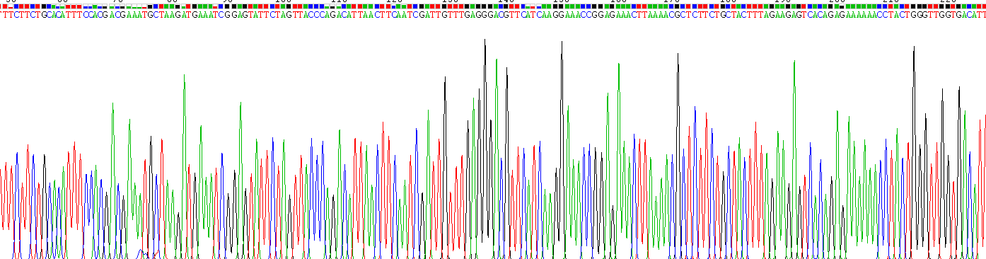 Recombinant Poly ADP Ribose Glycohydrolase (PARG)