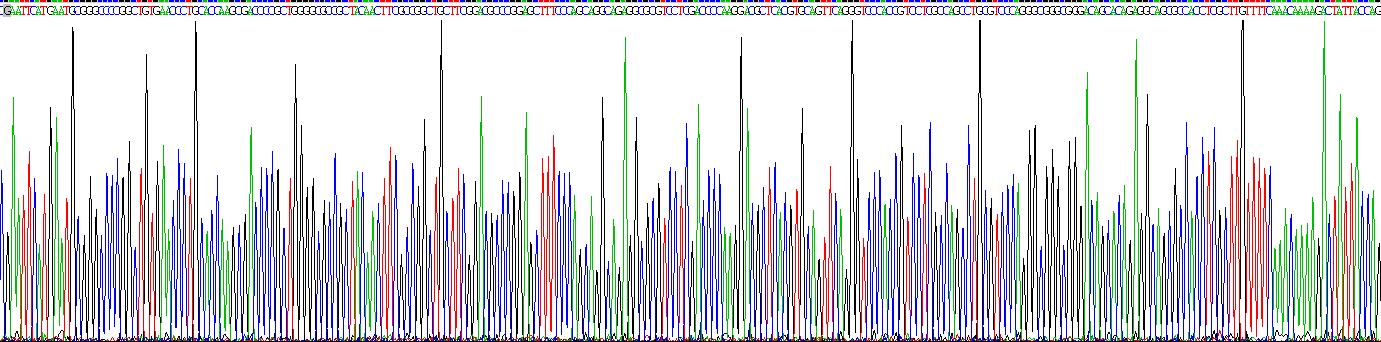 Recombinant Poly ADP Ribose Glycohydrolase (PARG)