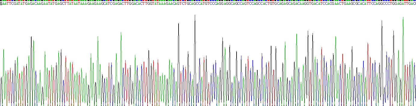 Recombinant Keratin 23 (KRT23)